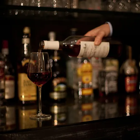 槐树之星酒店 巴黎